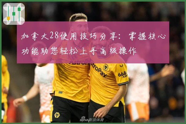 加拿大28使用技巧分享：掌握核心功能助您轻松上手高级操作