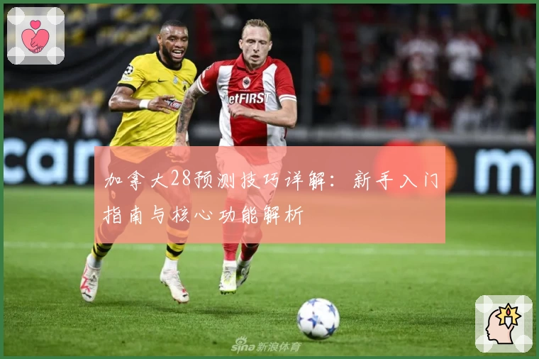加拿大28预测技巧详解：新手入门指南与核心功能解析