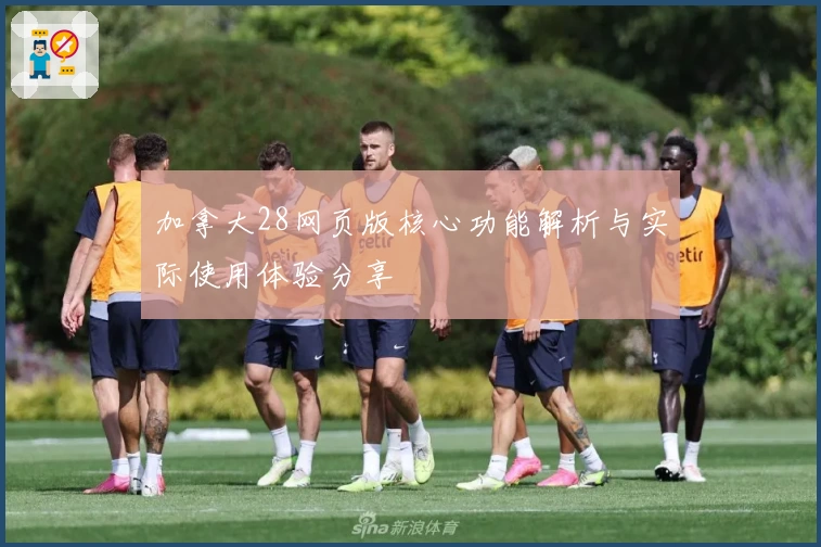 加拿大28网页版核心功能解析与实际使用体验分享