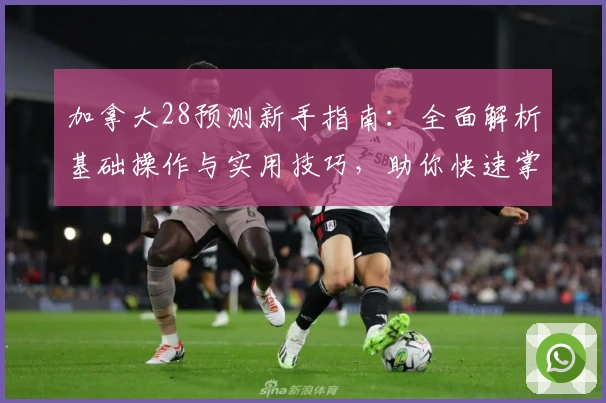 加拿大28预测新手指南：全面解析基础操作与实用技巧，助你快速掌握核心规律195成长路径