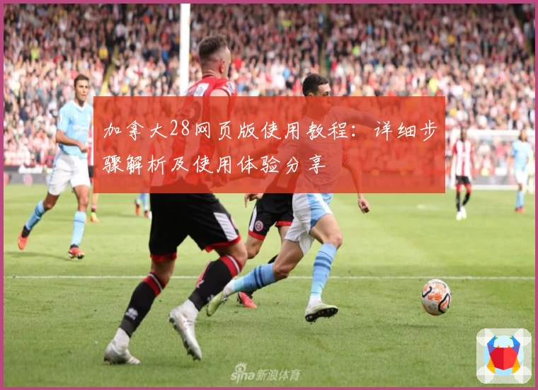 加拿大28网页版使用教程：详细步骤解析及使用体验分享