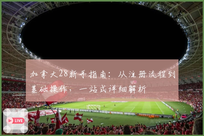 加拿大28新手指南：从注册流程到基础操作，一站式详细解析