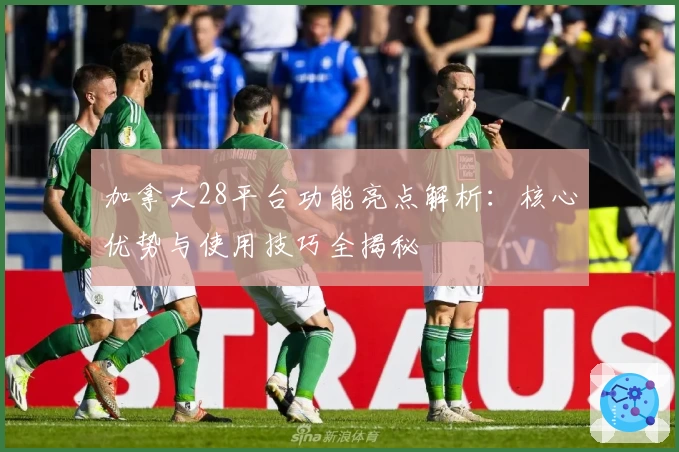 加拿大28平台功能亮点解析：核心优势与使用技巧全揭秘