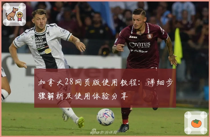 加拿大28网页版使用教程：详细步骤解析及使用体验分享