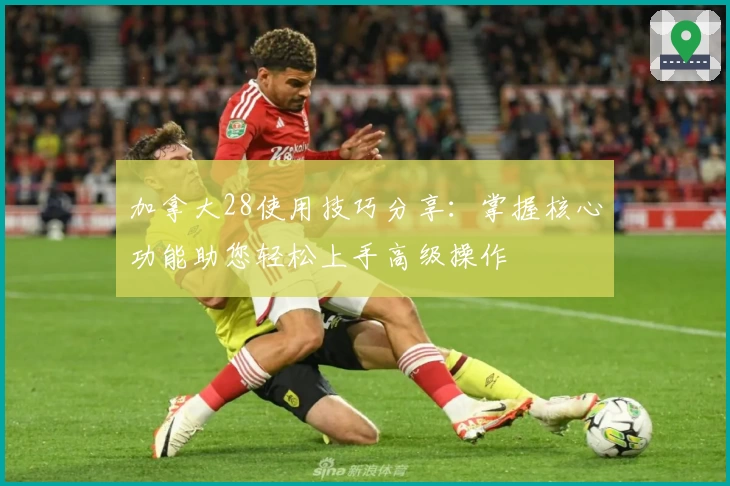 加拿大28使用技巧分享：掌握核心功能助您轻松上手高级操作