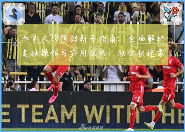 加拿大28预测新手指南：全面解析基础操作与实用技巧，助你快速掌握核心规律195成长路径