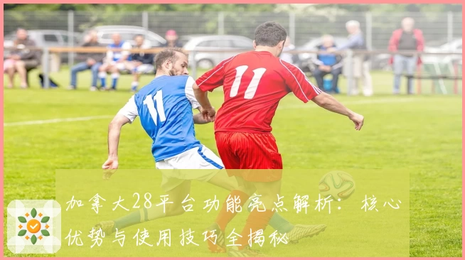 加拿大28平台功能亮点解析：核心优势与使用技巧全揭秘