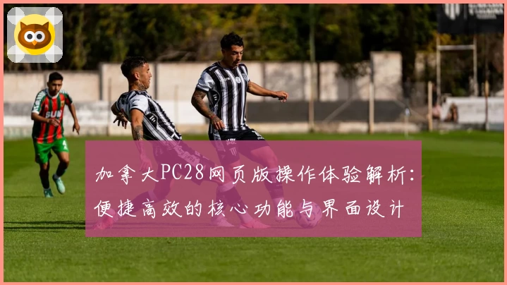 加拿大PC28网页版操作体验解析：便捷高效的核心功能与界面设计