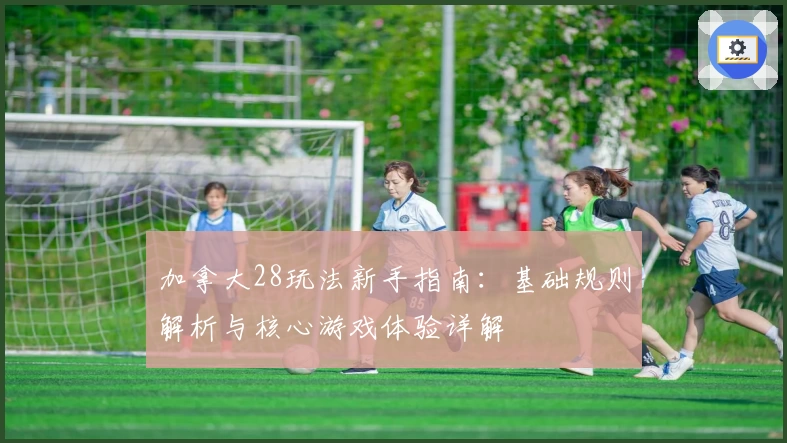 加拿大28玩法新手指南：基础规则解析与核心游戏体验详解